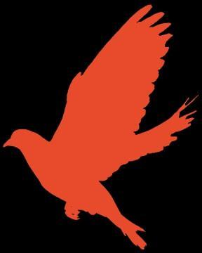 東陽重點監(jiān)測企業(yè)復工率達93%，彈性織帶行業(yè)展現強勁韌性